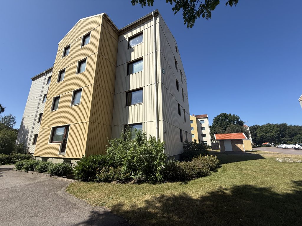 Skivlingen 1